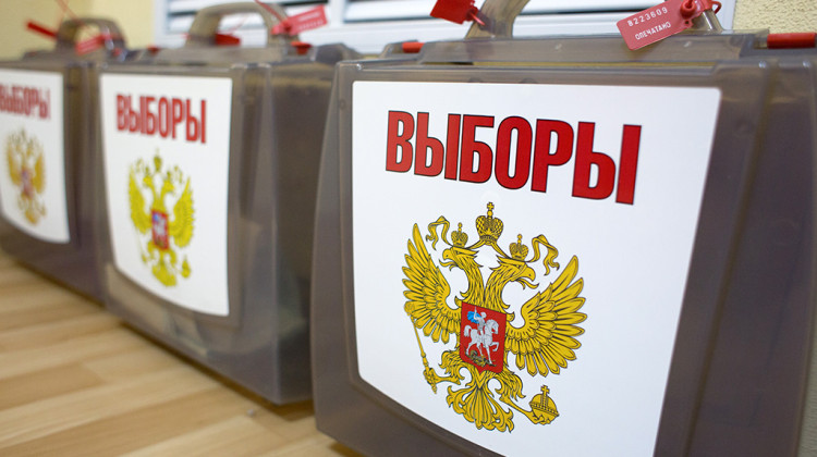 Российский правозащитник рассказал, как Кубань готовится к выборам