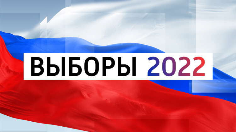 Мониторинговая группа СПЧ при Президенте РФ будет наблюдать за выборами в ЕДГ
