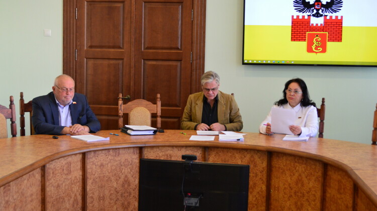 Карина Косенкова приняла участие в заседании комитета городской Думы Краснодара