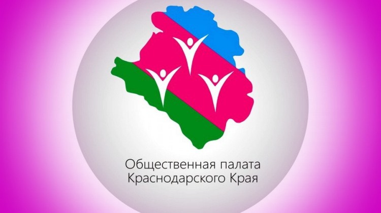 Сотрудничество Совета с Общественной палатой и Уполномоченным по правам человека в формировании нового состава ОНК
