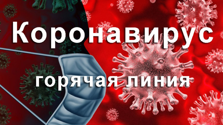 СПЧ открывает “горячую линию” по мерам поддержки граждан и бизнеса в связи с коронавирусом