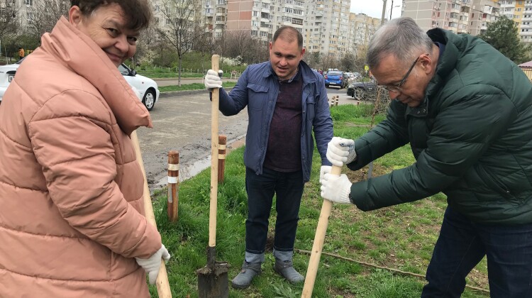 Краснодар присоединился к международной акции «Сад памяти», приуроченной к 80-летию начала Великой Отечественной войны