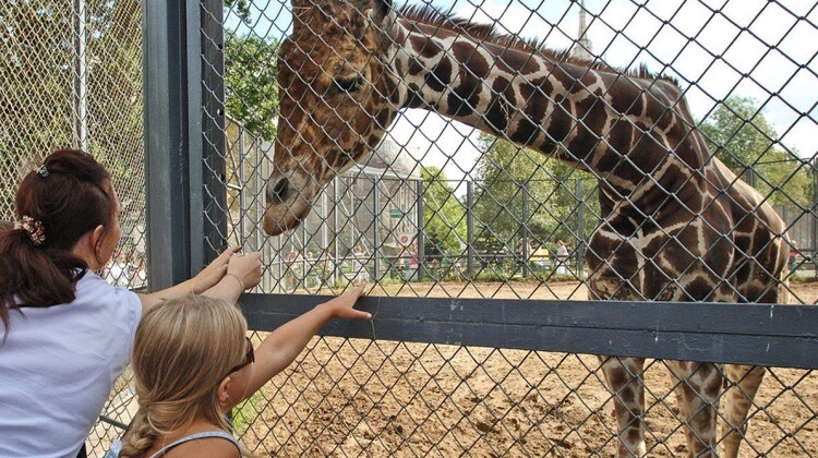 Катание на теплоходе и поход в зоопарк – подарок детям от Российского детского фонда