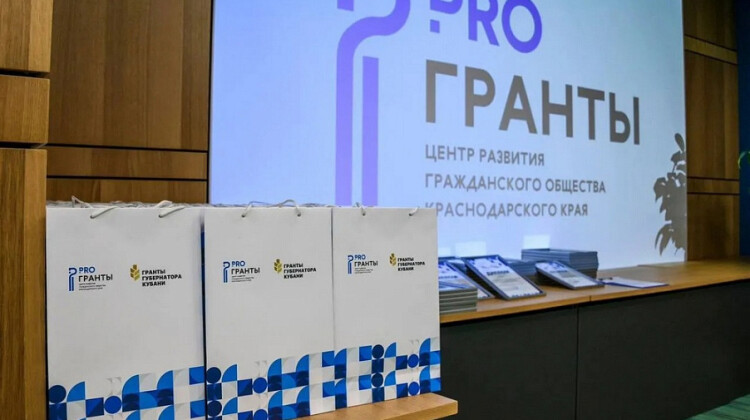 Вице-губернатор Игорь Чагаев поблагодарил за работу социально ориентированные некоммерческие организации 