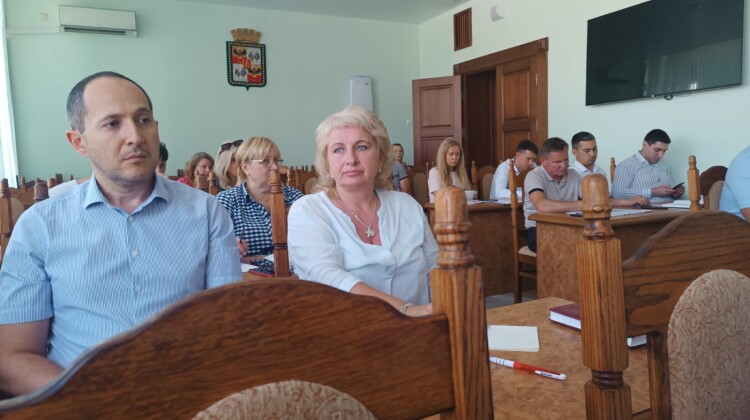 Ирина Левицкая об очередной встрече по вопросам многодетных семей